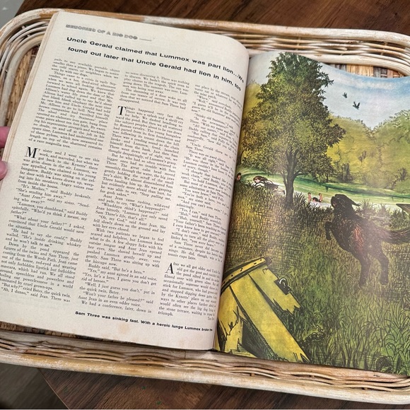 Vintage Cosmopolitan Magazine - March 1957 - Picture 7 of 13